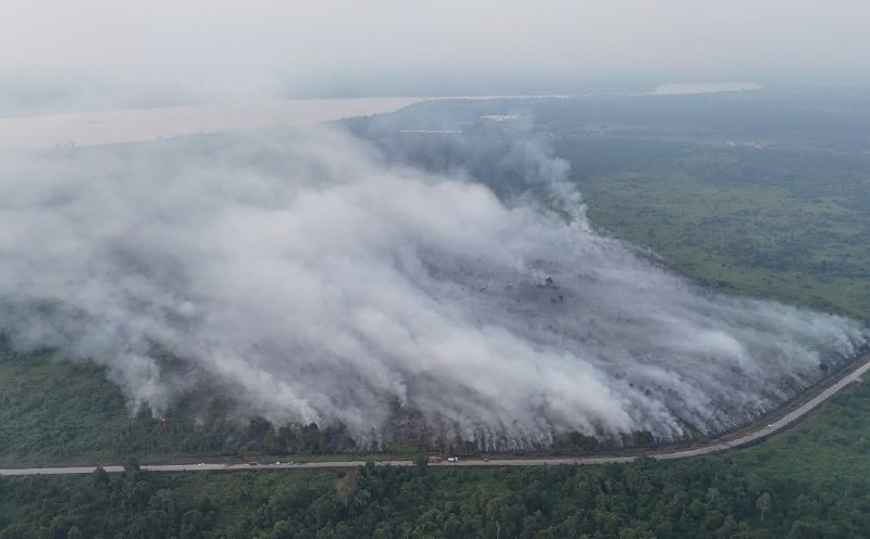 100ha forest fire in Sri Aman raises concerns over worsening haze