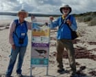 Jean hoped bird flu wouldn’t come to Australia. Then it arrived – and she saw a tern ‘trembling and swaying’