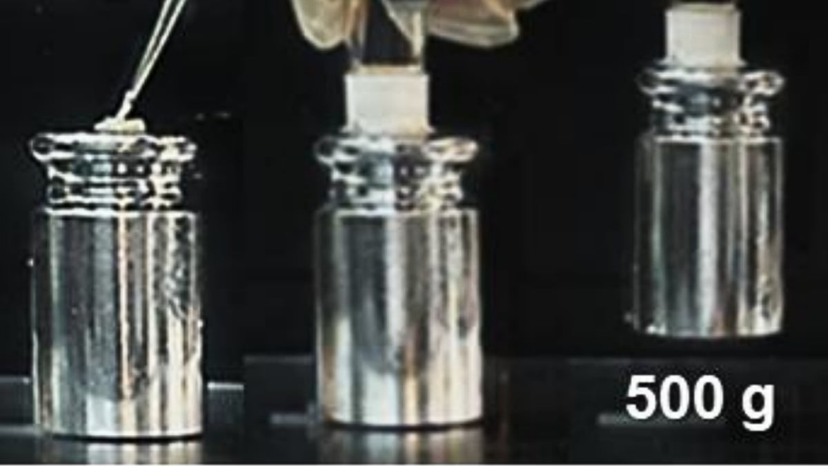 Engineers Create Superglue That Bonds in 10 Seconds, Holds For Years And Gets Stronger Underwater