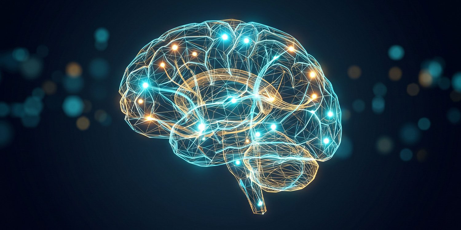Neuroscientists demonstrate that logical reasoning does not require language
