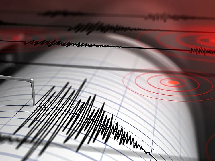 Magnitude 5 earthquake recorded in western Iran: UAE's NCM
