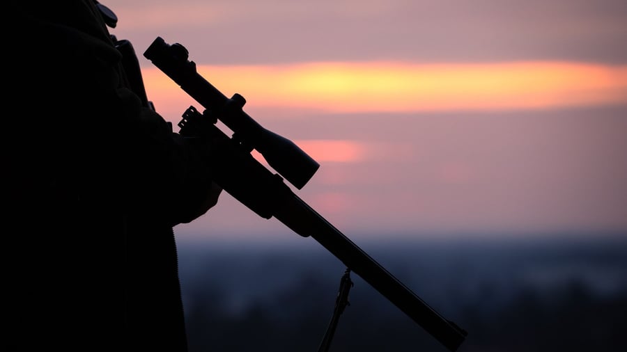 Decision in Saxony-Anhalt: Court: AfD membership can lead to withdrawal of weapons