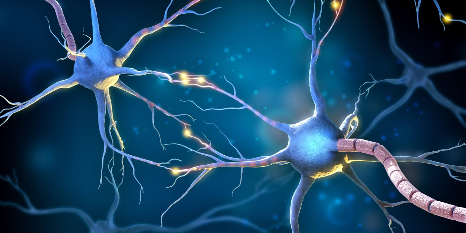 Microscopic brain vesicles reveal unique genetic markers for Alzheimer’s and frontotemporal dementia