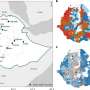 Study reveals growing signs of malaria drug resistance in Ethiopia