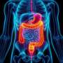 Three discoveries that transformed how we understand nutrition