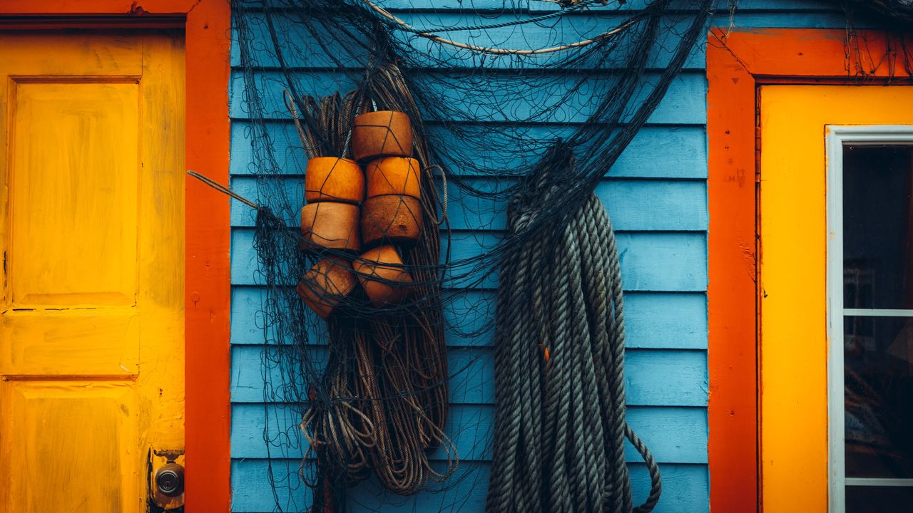 Fujifilm’s real-life “color hunt” sells out in 2 days – but maybe it can inspire you to organize your own photographic quest