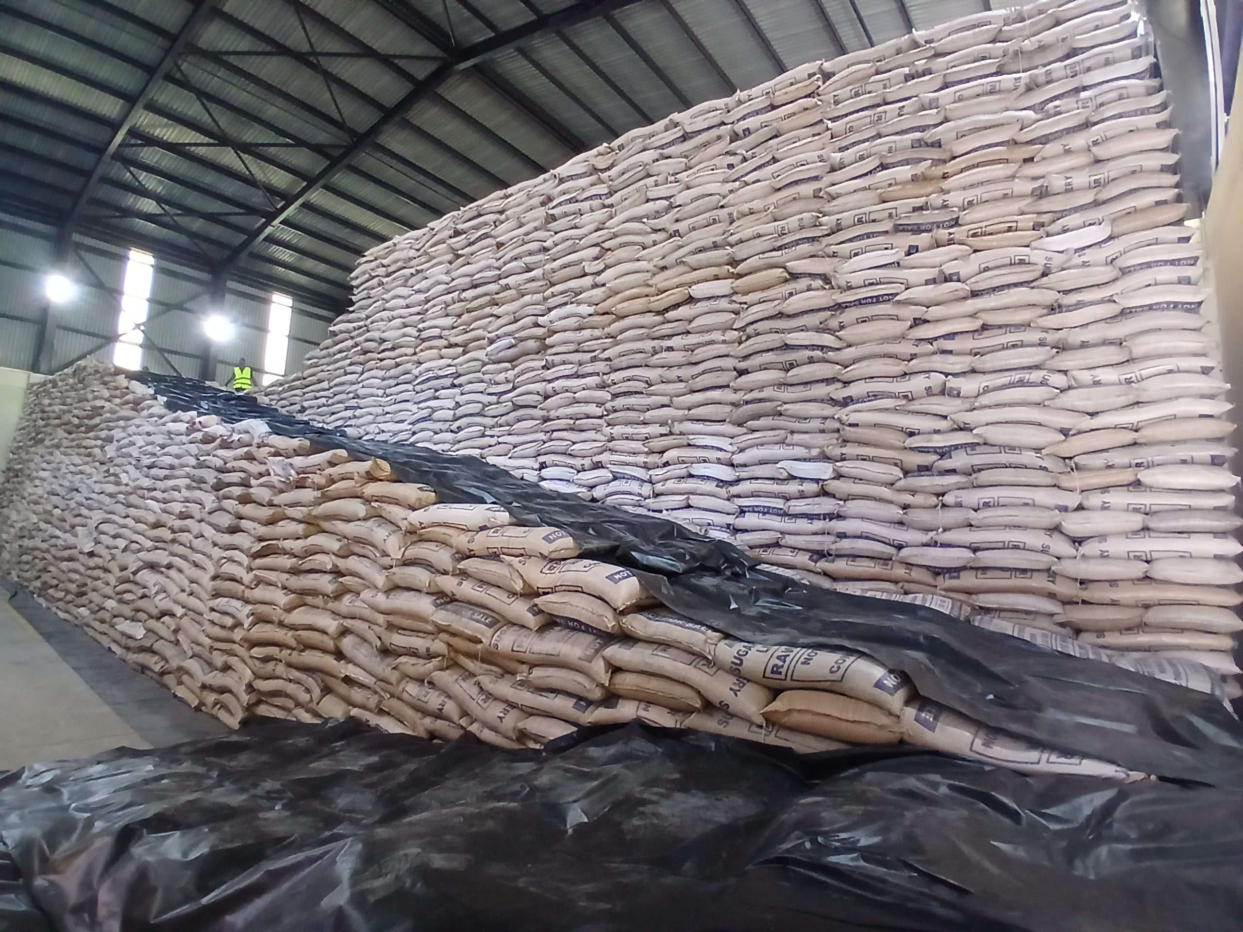Sugar import ban rekindles hope among cane farmers
