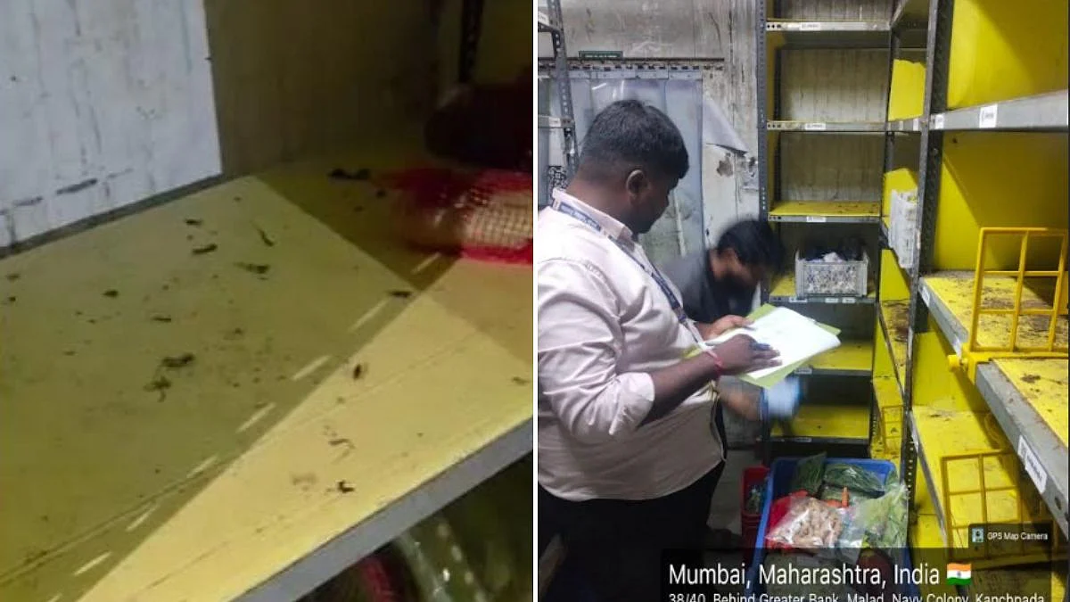 Maharashtra FDA Suspends Blink Commerce Food Licence Over Cockroach Infestation, Hygiene Lapses In Malad