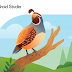 Leverage Android skills and Gemma 4 in Android Studio Quail 4