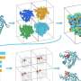 New AI model maps the ion binding sites that control how proteins work