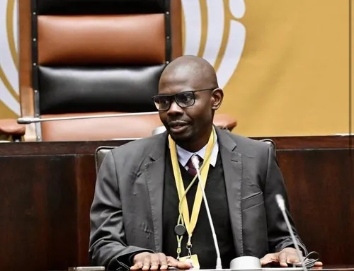 Section 89 committee withdraws Madonsela recommendation after Ramaphosa objects