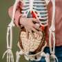 Single cell map helps predict childhood Crohn's severity and treatment response