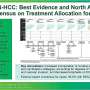 Liver cancer experts co-author new treatment framework for hepatocellular carcinoma