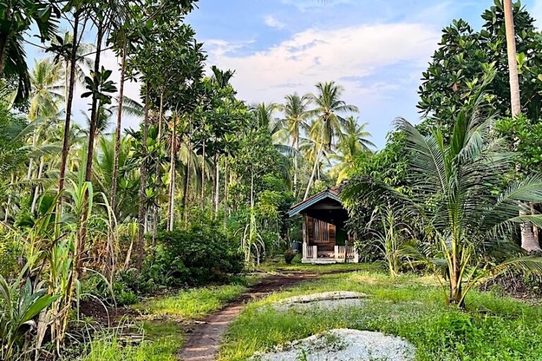 Rooting tree seed production in local knowledge boosts forest restoration outcomes (commentary)