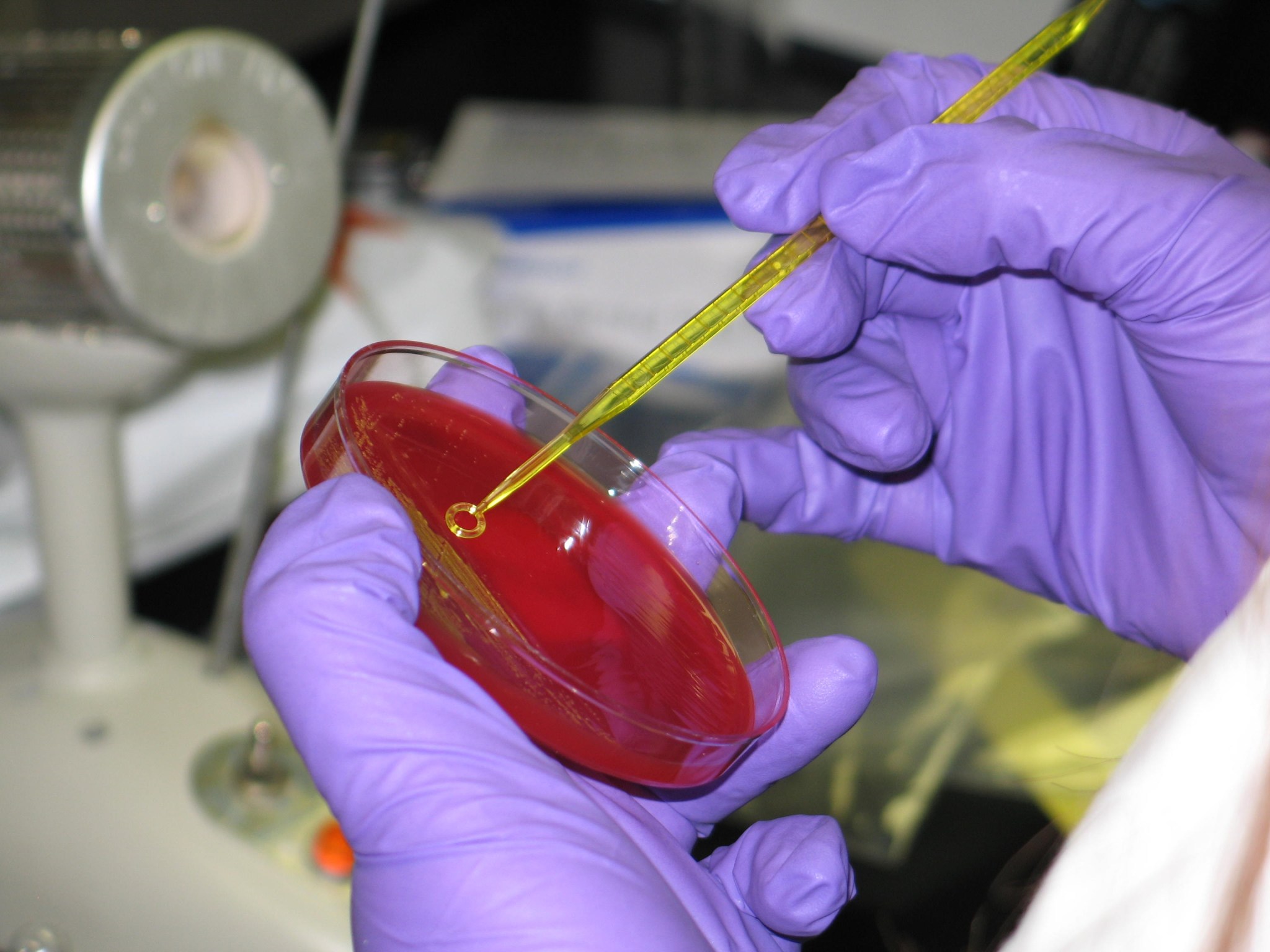 Environmental Microbiology Laboratory