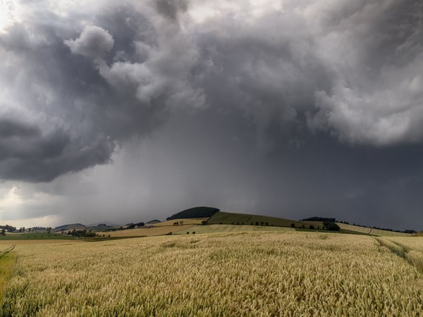 7 wars decided by weather, from Agincourt to D-Day