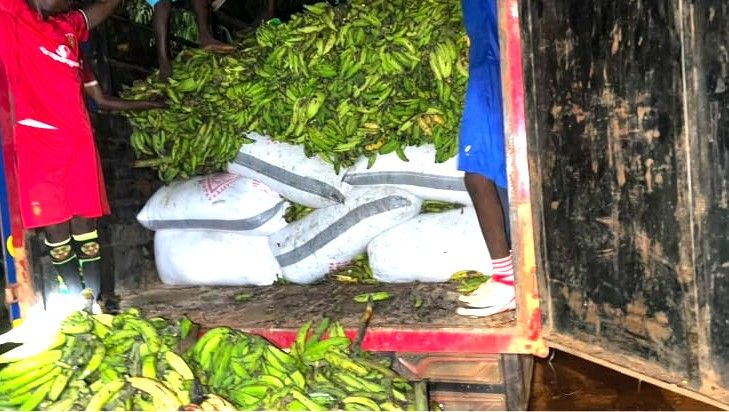 NER: Joint security forces arrest 2 suspects at Bunkpurugu for concealing 118 bags of cocoa beans in trucks loaded with plantain