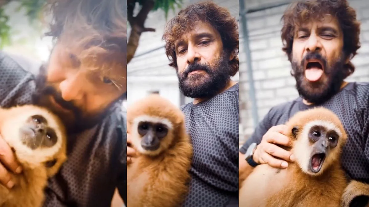 'It's Illegal To Have It As Pet': Chiyaan Vikram's Lar Gibbon Video Sparks Controversy; Animal Activists Raise Wildlife Concerns- WATCH
