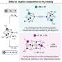 Why some nitrogen-processing enzymes are more efficient than others