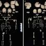 Laid to rest with care: Ancient infants, perhaps twins, found in 1,200-year-old latrine