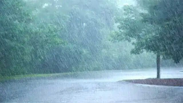The Weather