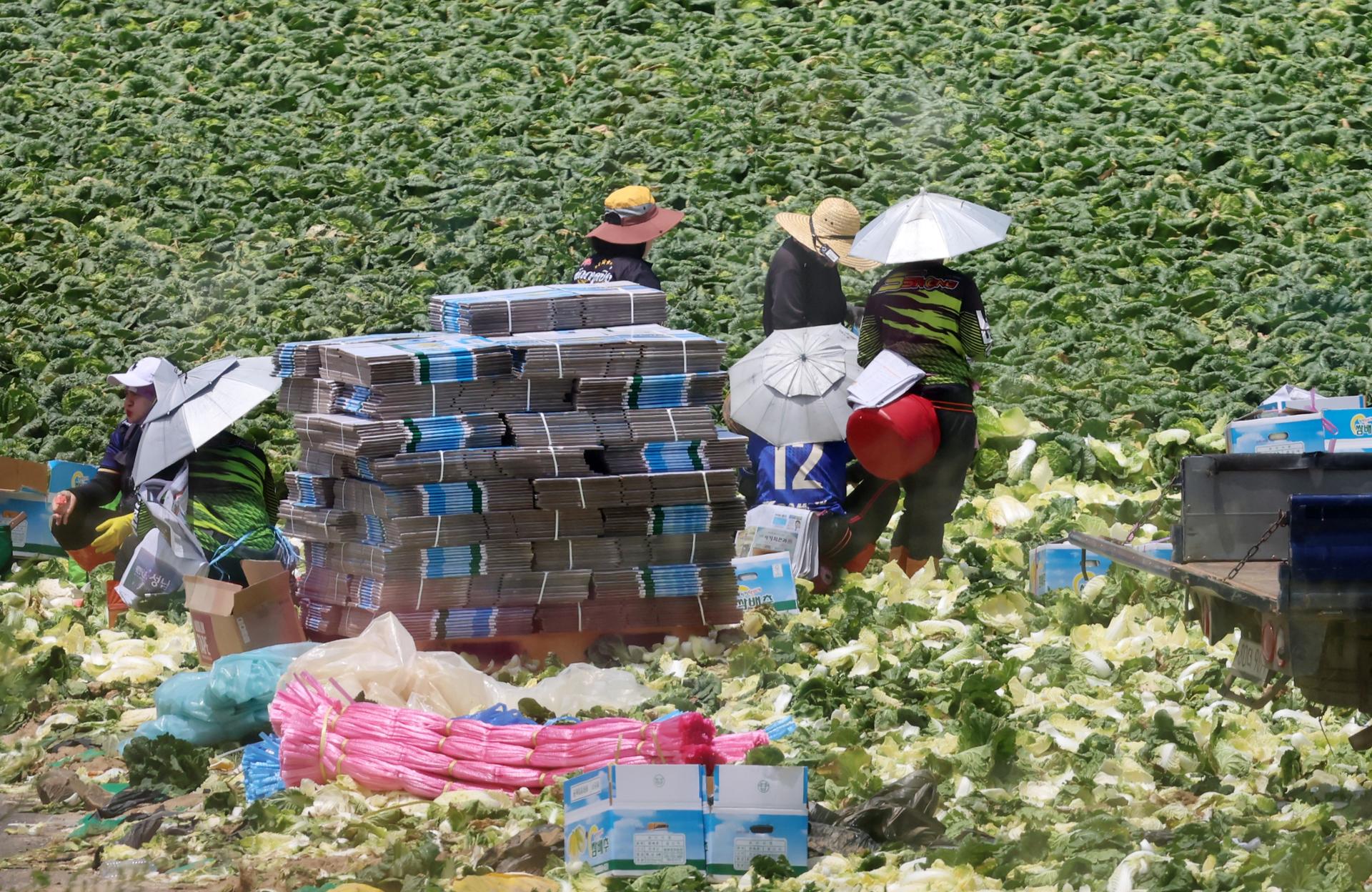 Number of foreign workers under Employment Permit System hits record high