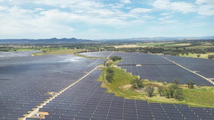 Investors 'losing patience' with slow renewables rollout, report finds