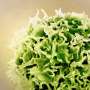 New analysis explains why bone marrow cancer T cells may need therapeutic activation