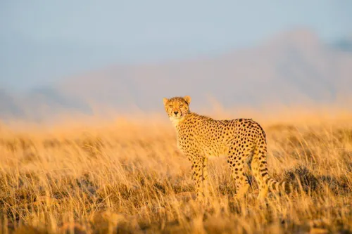 Free entry to selected SANParks destinations from September 7 to 13
