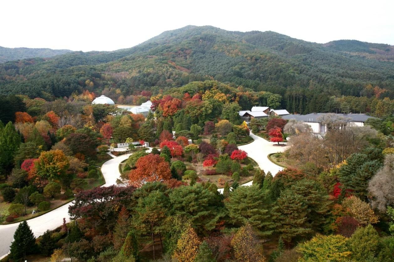 Korean forests gain global recognition in biodiversity push