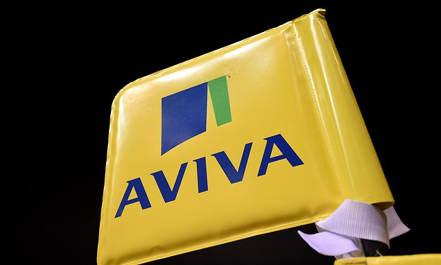 Aviva investors urged not to fall into 'trap' set by US predator looking to buy shares on the cheap