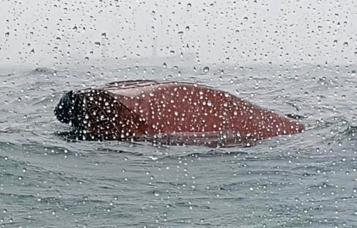 1 rescued after tugboat capsizes in waters off Busan