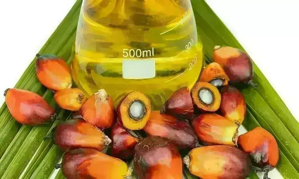 Palm retreats on profit-taking, weak demand