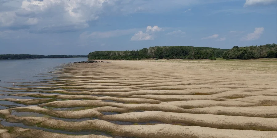 Record-low Danube water levels impede Ukrainian grain exports
