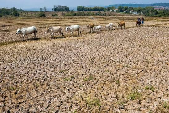 Global warming will exceed limit as UN report maps path to get back below danger zone