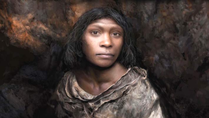Homo antecessor Had Surprisingly Modern Skull, New Fossils Suggest
