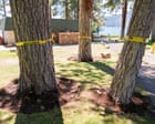 Nevada authorities investigate dozens of mysterious tree poisonings in Lake Tahoe