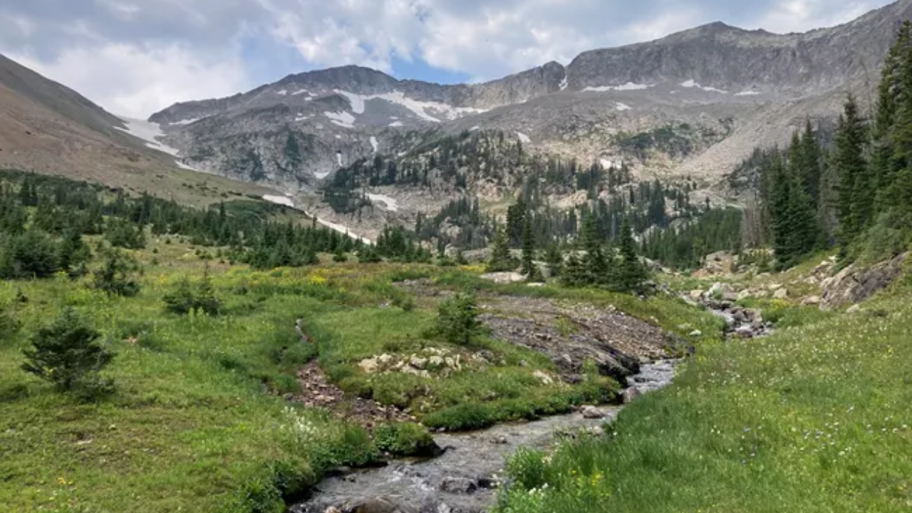 Rocky Mountain crews target non-native fish to restore threatened greenback trout