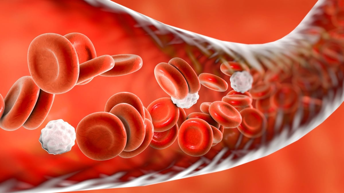 A Common Cholesterol Treatment May Also Remove PFAS And Microplastics From Blood