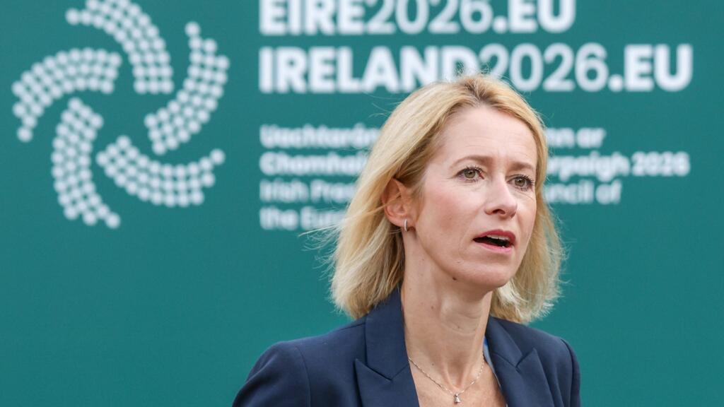 Drone incident in Germany has ‘hallmarks of state-sponsored terrorism’, EU's Kallas says