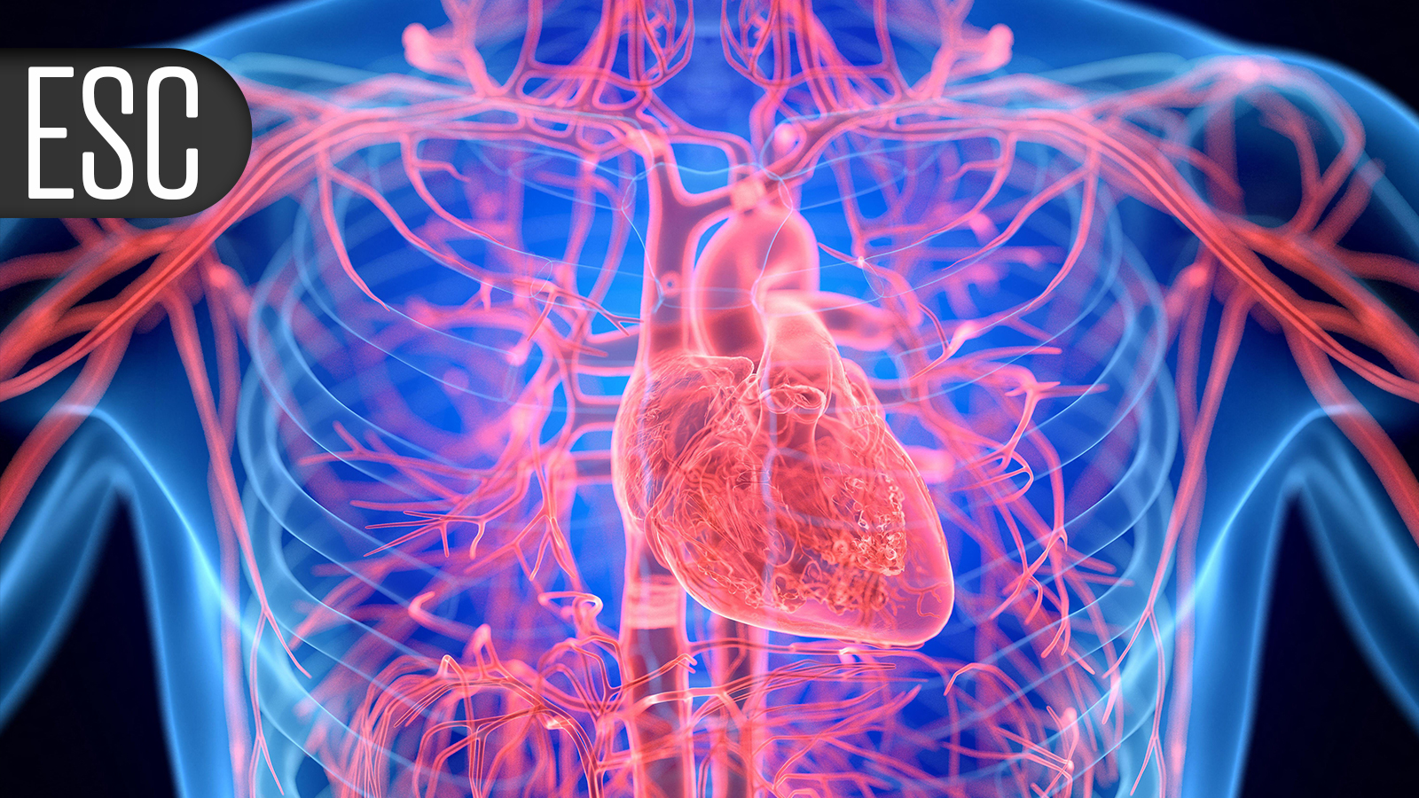 Denervation Shows Potential in Heart Failure-Related Pulmonary Hypertension