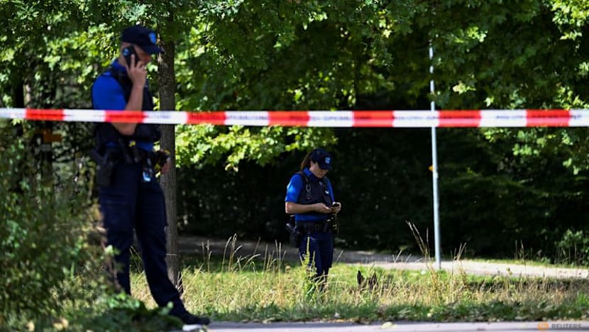 Swiss rave shooting suspect has 'psychological problems': prosecutor