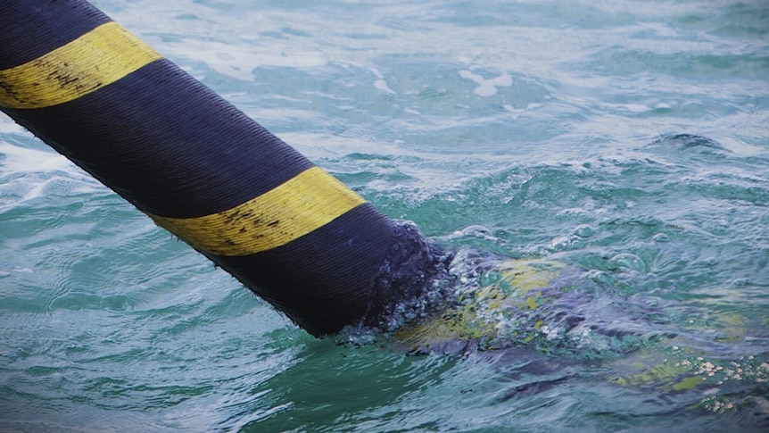 Federal police urged to investigate 'concerning' subsea cable fault