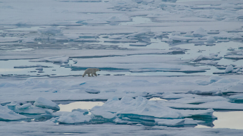 Government Pulls Funding for the Arctic Report Card