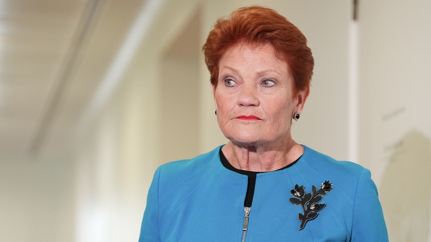 Hanson risks accusations she's using a security issue for political points