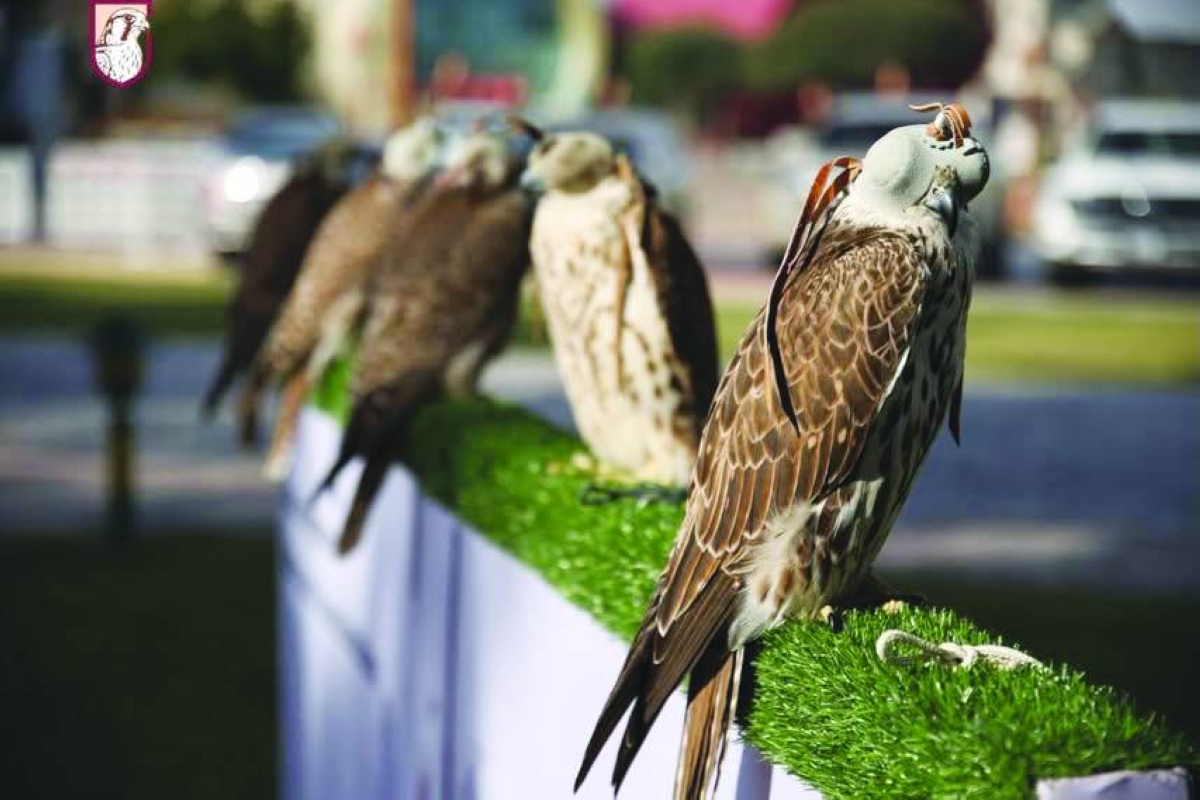 S’hail 2026 launches Nabati poetry contest