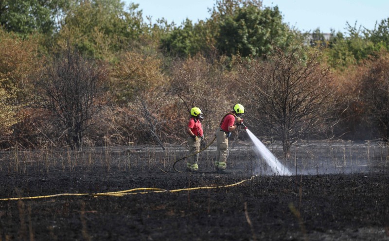 Drought declared in 'almost three-quarters' of England: UK govt