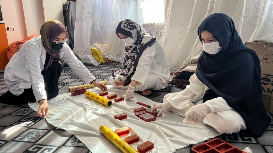 Small entrepreneurs: Is Afghanistan's future in the work of women?