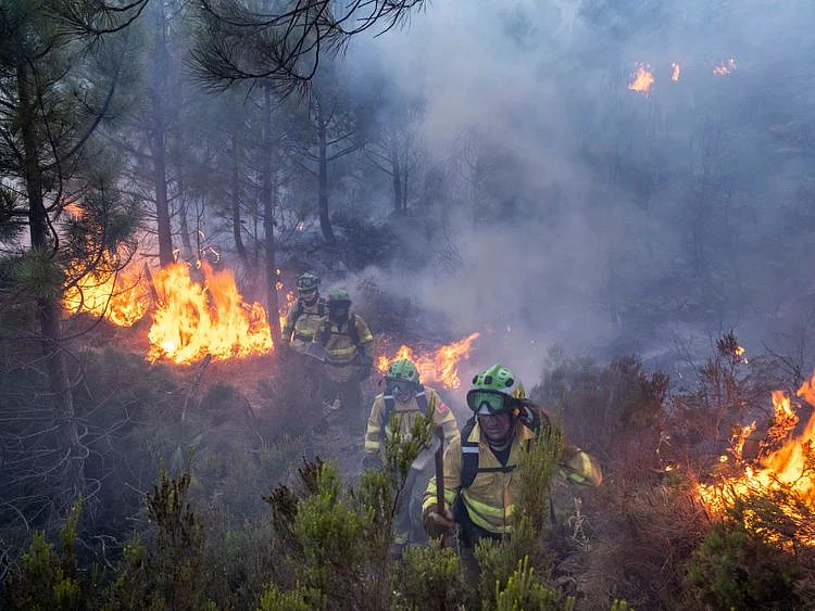 UN urges swift action to avoid climate catastrophe