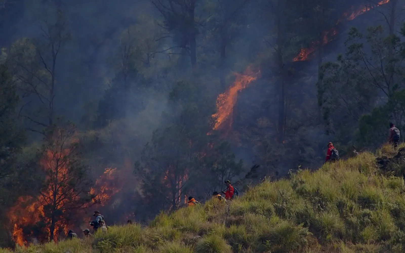 Lebih 107,000 hektar hutan, tanah di Indonesia terjejas akibat kebakaran